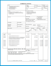 Commercial Invoice