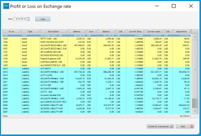 Profit or Loss on Exchange Rate